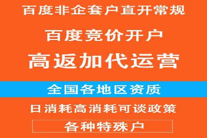 竞价广告投放策略，代运营公司的成功实践